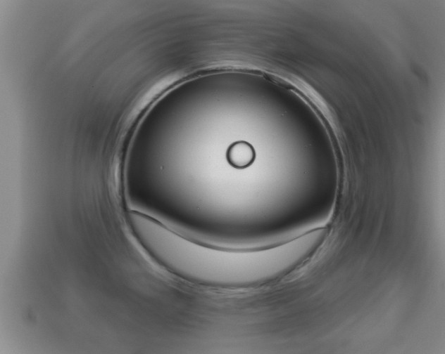 X0000114021293200910091406
