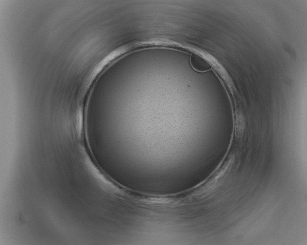 X0000114021295200910091405