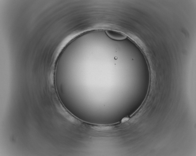 X0000114021296200910091405