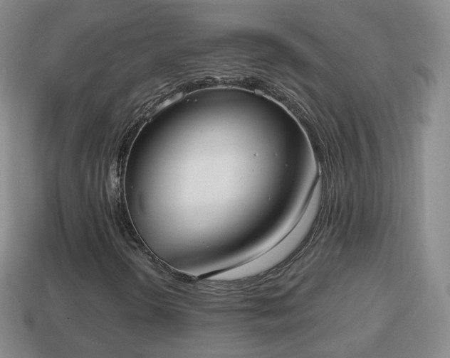 X0000114021298200910091405