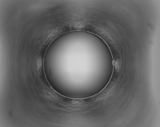 X0000114021299200910091405