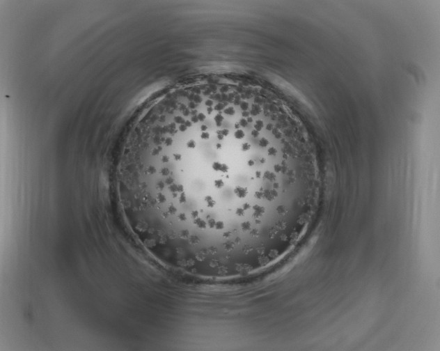 X0000114021305200910091405