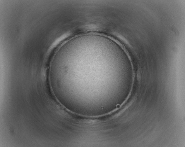 X0000114021309200910091405