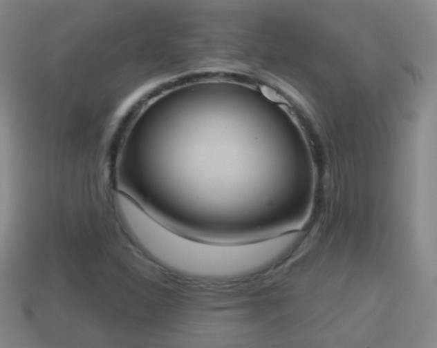 X0000114021310200910091405