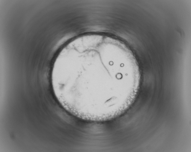 X0000114021314200910091405