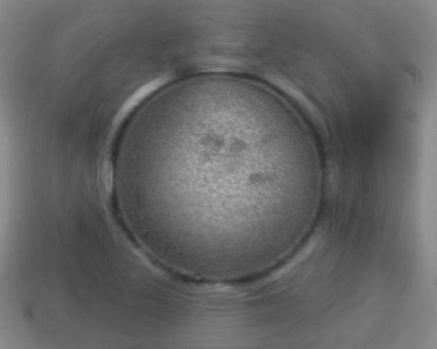 X0000114021317200910091405