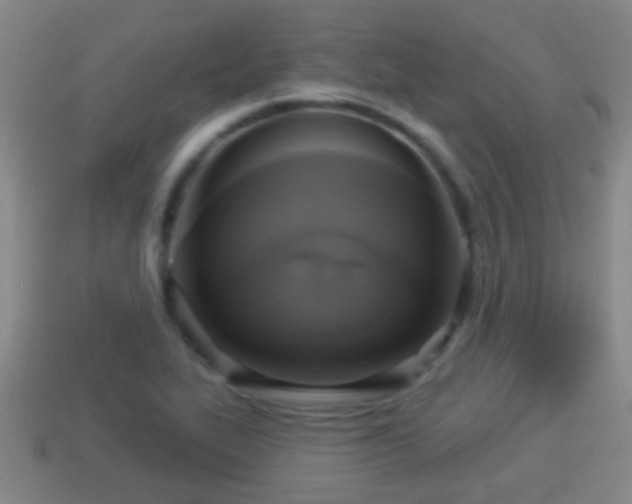 X0000114021319200910091405