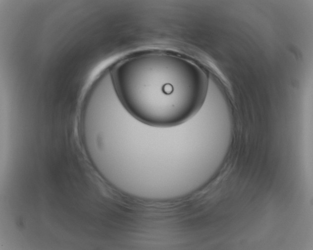 X0000114021320200910091405