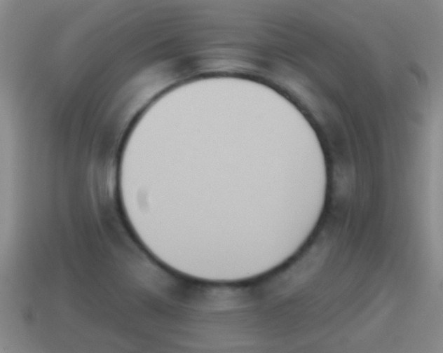 X0000114021322200910091405