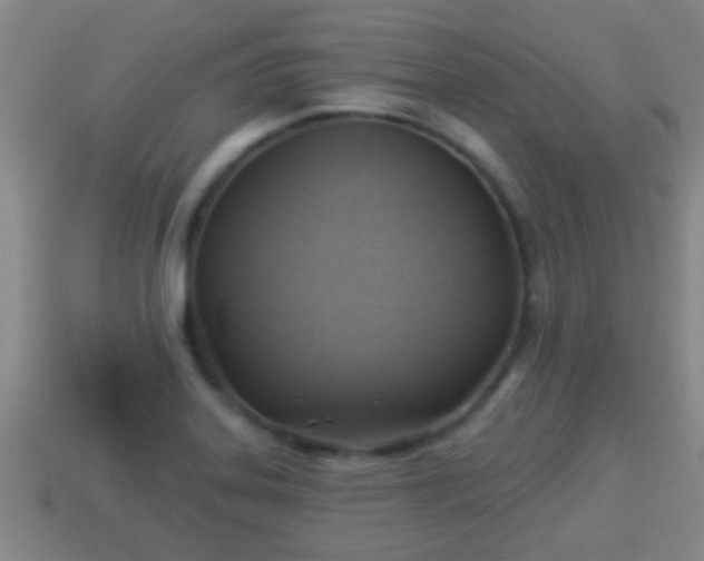X0000114021323200910091405