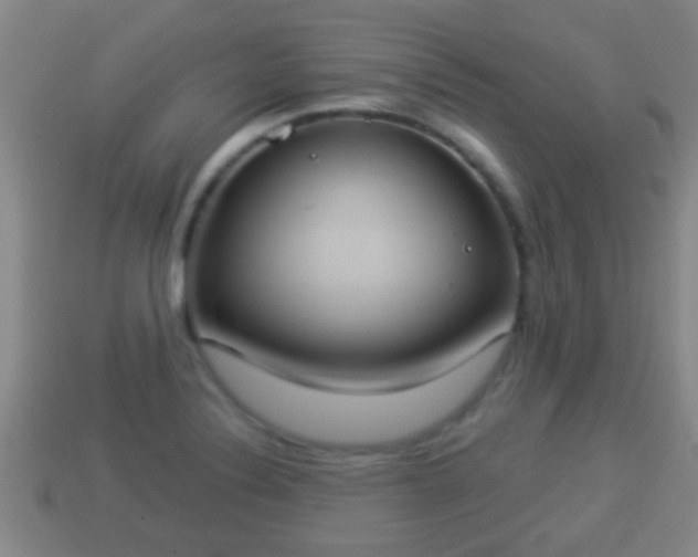 X0000114021324200910091405
