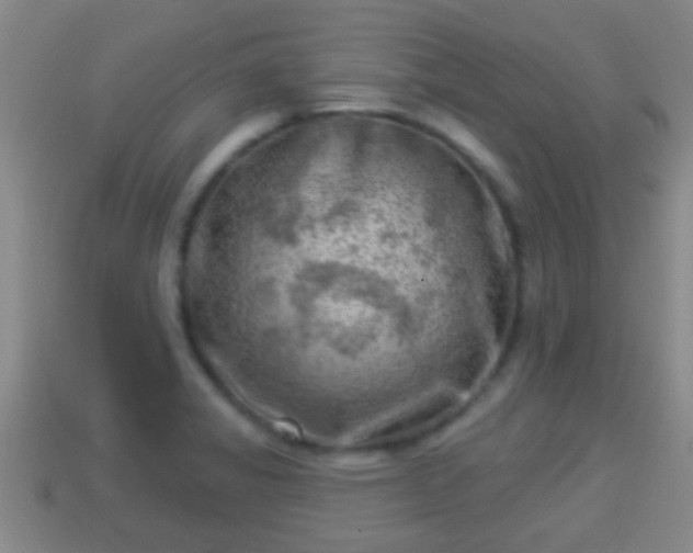 X0000114021325200910091405
