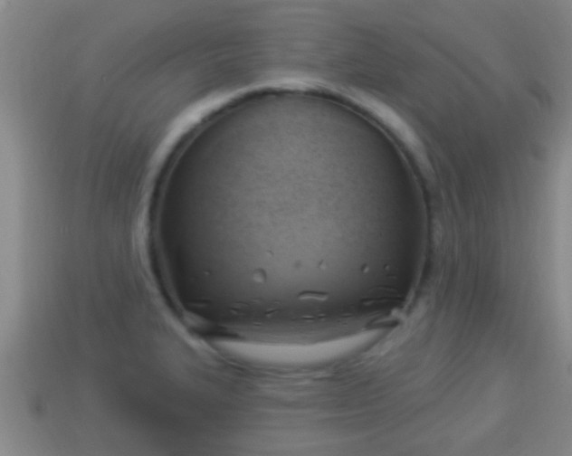 X0000114021327200910091405