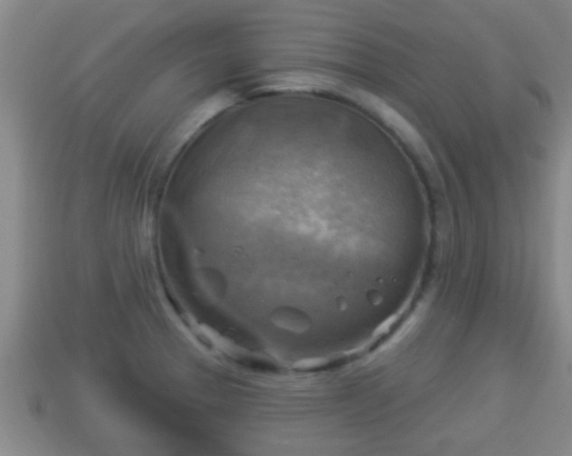 X0000114021329200910091405
