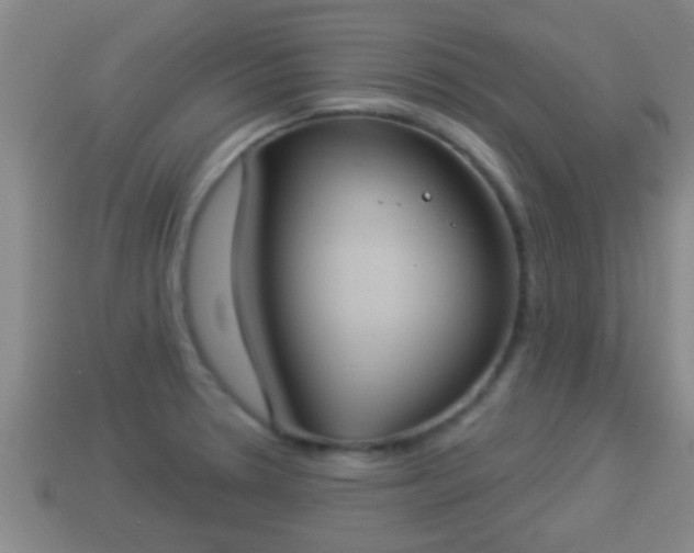 X0000114021330200910091405