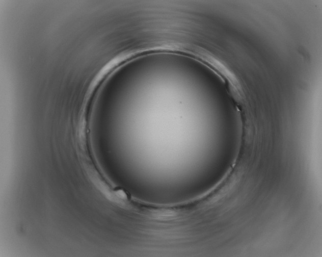 X0000114021332200910091405