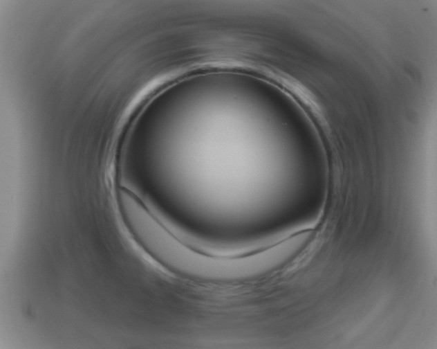 X0000114021334200910091405