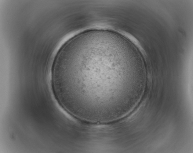 X0000114021335200910091405