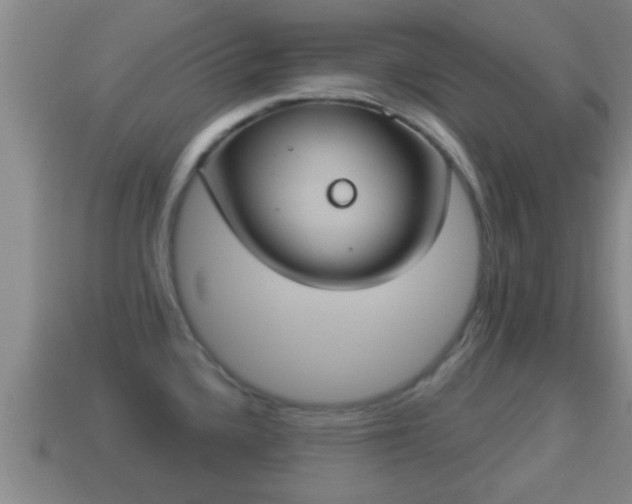 X0000114021336200910091405