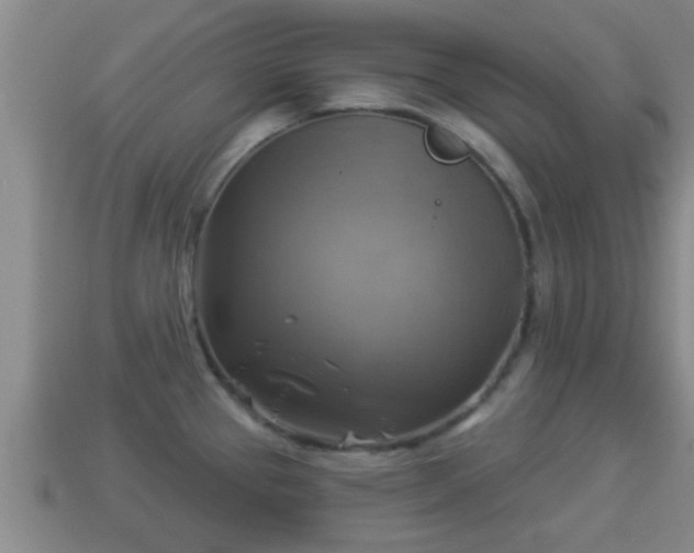 X0000114021337200910091405