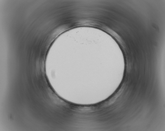 X0000114021338200910091405