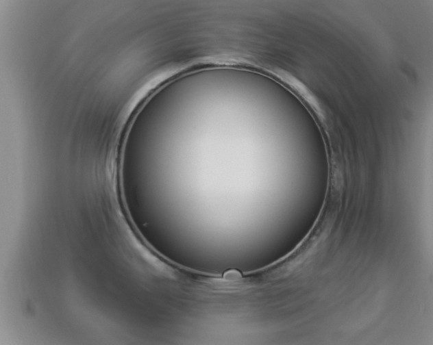 X0000114021343200910091405