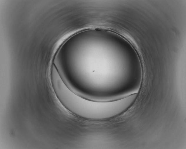 X0000114021344200910091405