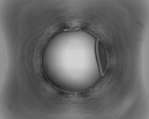 X0000114021345200910091405