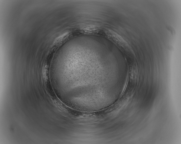 X0000114021346200910091405