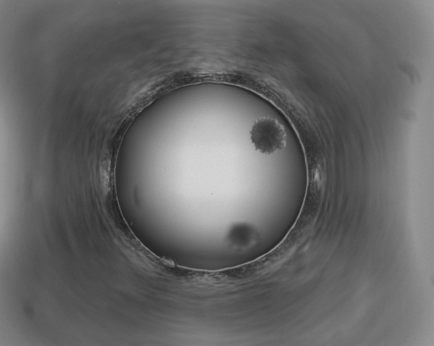 X0000114021348200910091405