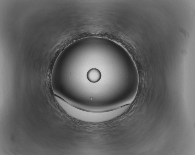 X0000114021349200910091405