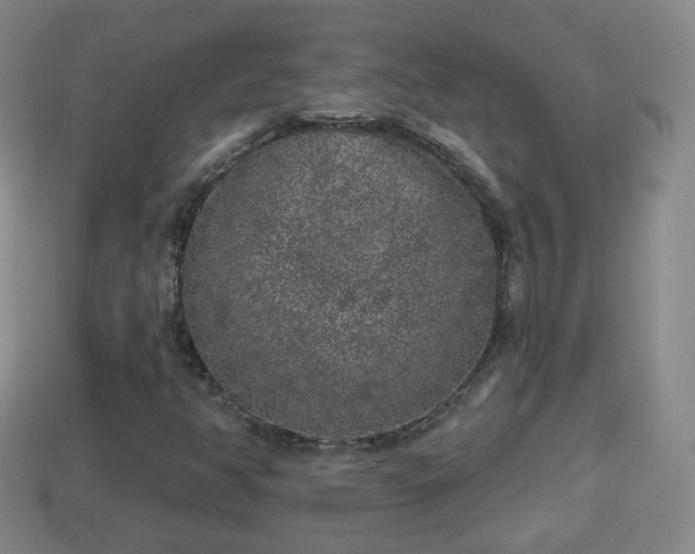 X0000114021350200910091405