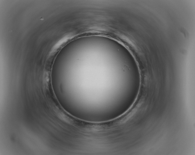 X0000114021355200910091405