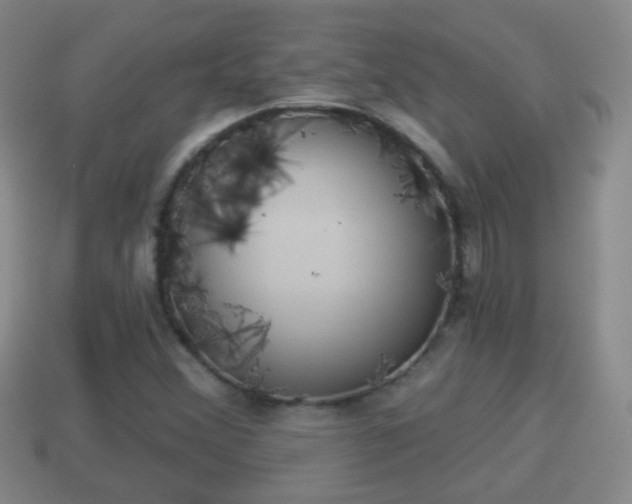X0000114021356200910091405