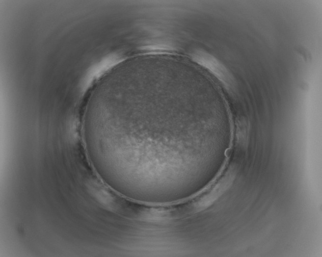 X0000114021357200910091405