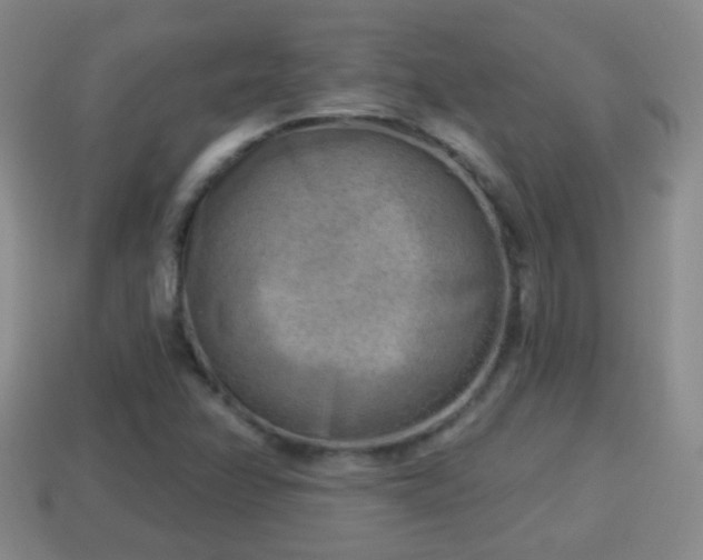 X0000114021358200910091405