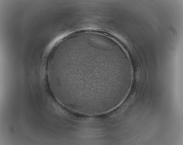 X0000114021359200910091405
