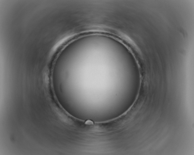 X0000114021360200910091405
