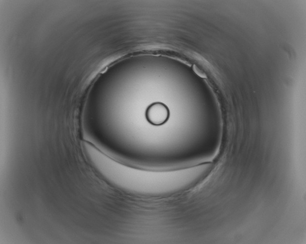 X0000114021361200910091405