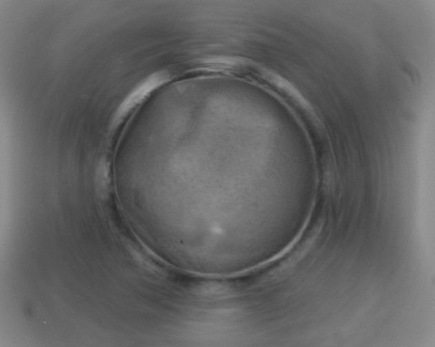 X0000114021362200910091405