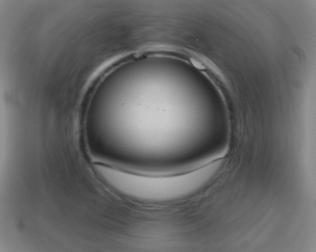 X0000114021364200910091404