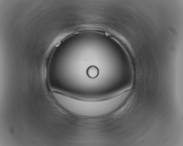 X0000114021365200910091404