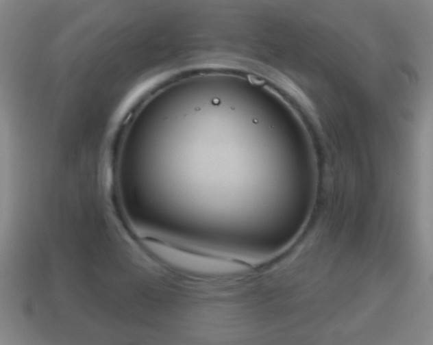 X0000114021368200910091404