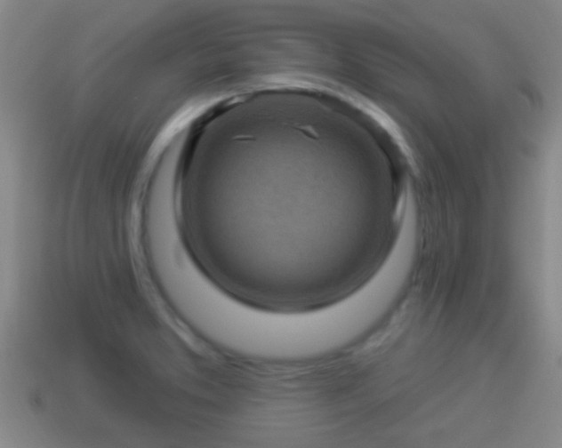 X0000114021373200910091404