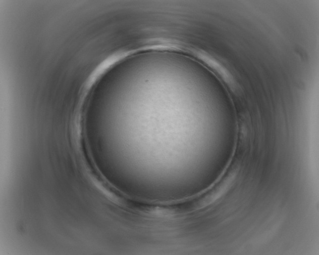 X0000114021375200910091404