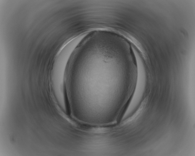 X0000114021377200910091404