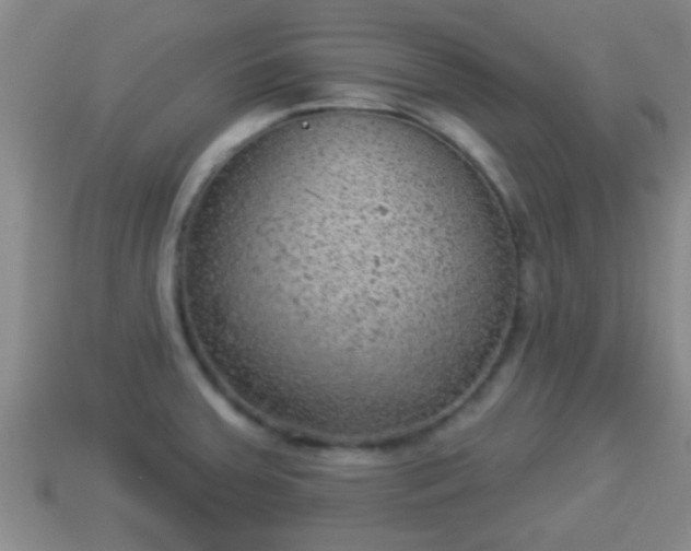 X0000114021379200910091404