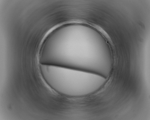X0000114021380200910091404