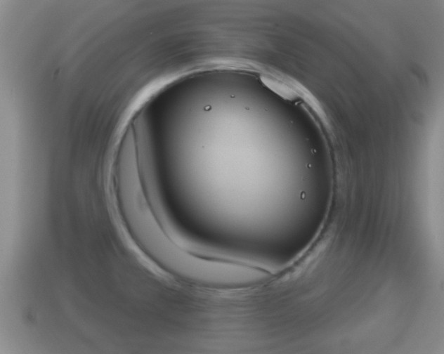 X0000114021381200910091404