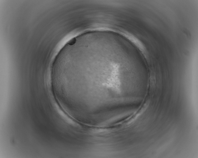 X0000114021382200910091404